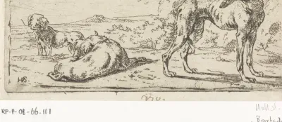 Drie honden in een landschap
