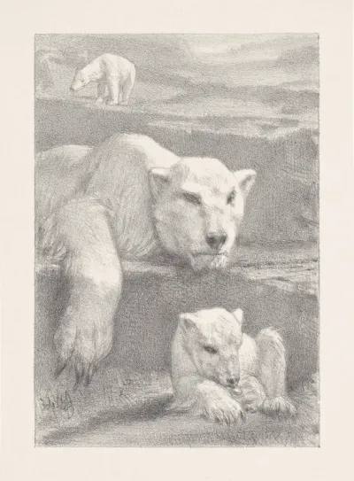 Drie ijsberen