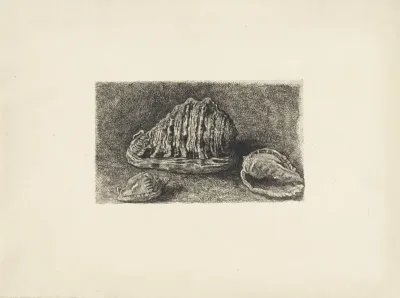 Drie kinkhorens