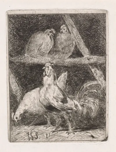 Drie kippen en een haan