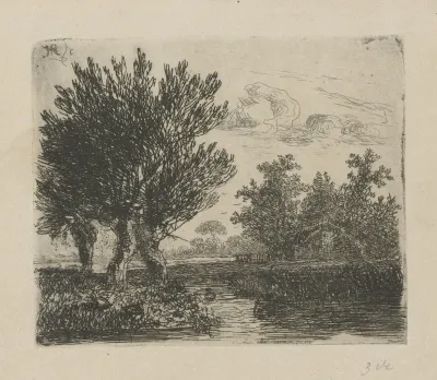 Drie knotwilgen aan een waterkant