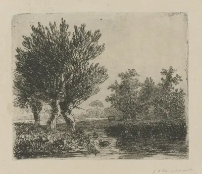 Drie knotwilgen aan een waterkant