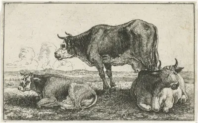 Drie koeien