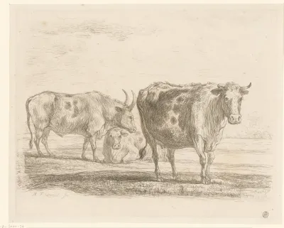 Drie koeien