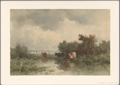 Drie koeien aan een plas