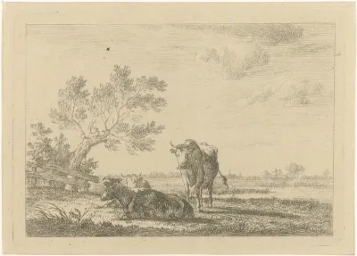 Drie koeien bij meer in weiland