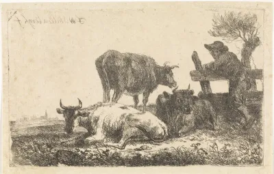 Drie koeien en een jongen in een weiland