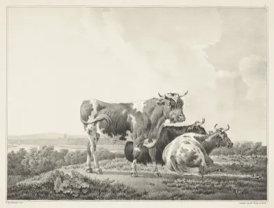 Drie koeien in een landschap