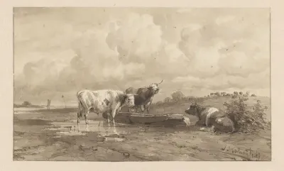Drie koeien in een weiland
