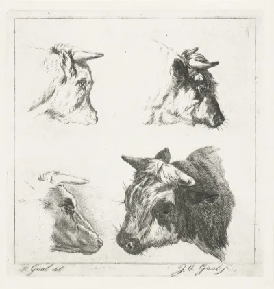 Drie koeienkoppen
