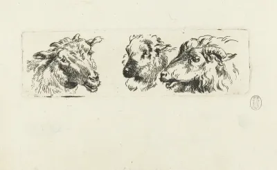 Drie koppen van geiten