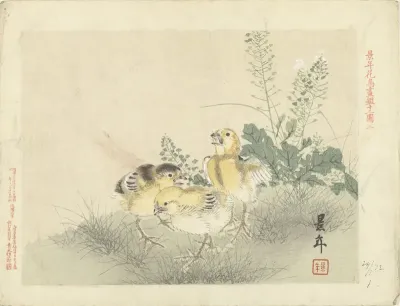 Drie kuikens