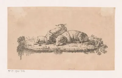 Drie liggende schapen