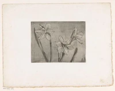 Drie narcissen