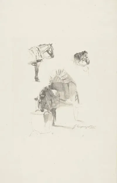 Drie opgetuigde paarden