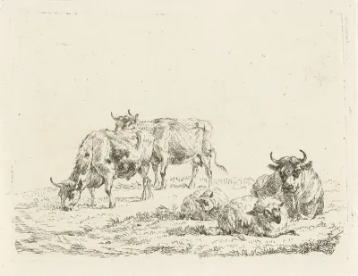 Drie ossen en twee schapen