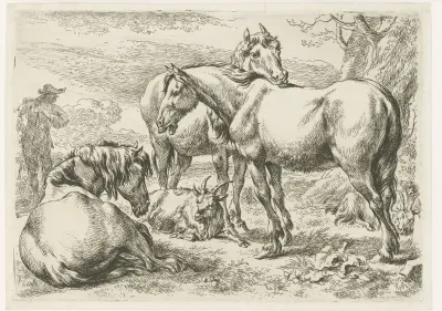 Drie paarden