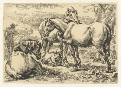Drie paarden