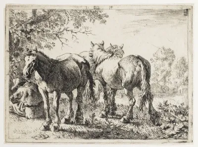 Drie paarden en een boer
