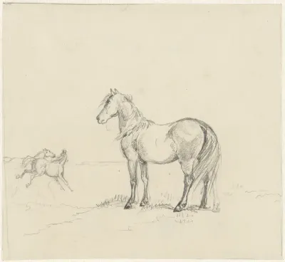 Drie paarden in een wei