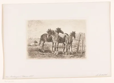 Drie paarden in een weiland, een koe in de achtergrond
