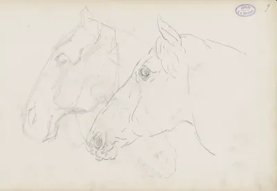 Drie paardenhoofden