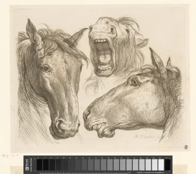 Drie paardenhoofden