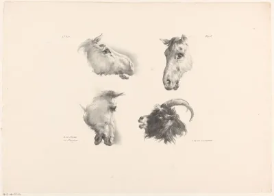 Drie paardenhoofden en een geitenkop