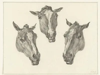 Drie paardenhoofden