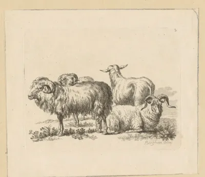 Drie rammen en een schaap