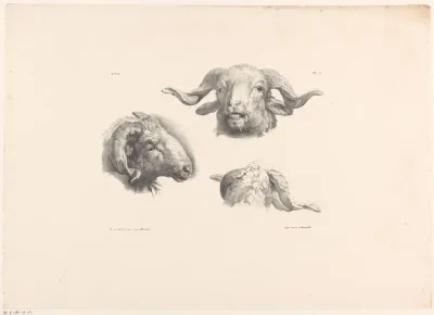 Drie ramskoppen