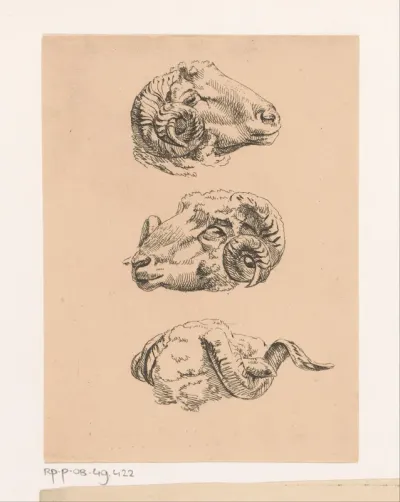 Drie ramskoppen