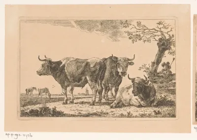 Drie runderen met een herder achter een hek