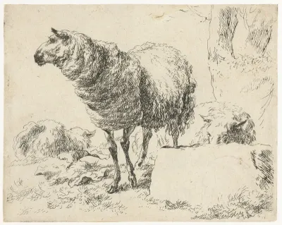 Drie schapen