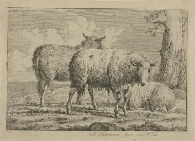 Drie schapen bij een boom