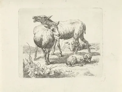 Drie schapen en een lammetje in een weide