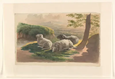 Drie schapen in een landschap bij zonsondergang