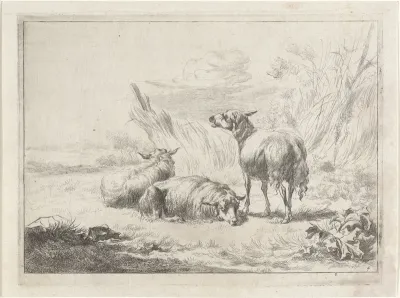 Drie schapen in een landschap