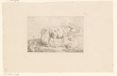 Drie schapen in een weide