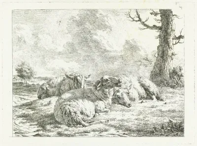 Drie schapen liggend bij kale boom