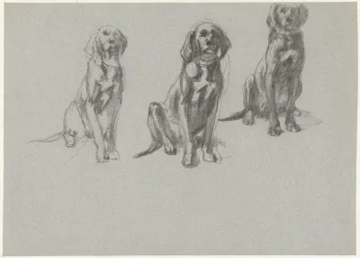 Drie studies van een zittende hond