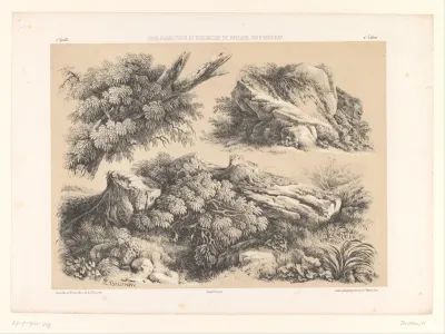 Drie studies van landschapselementen