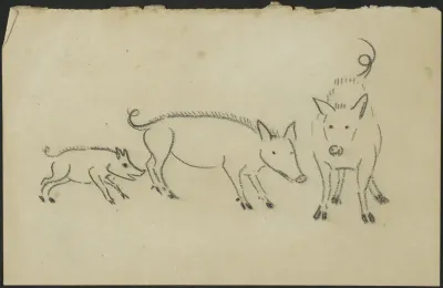 Drie varkens