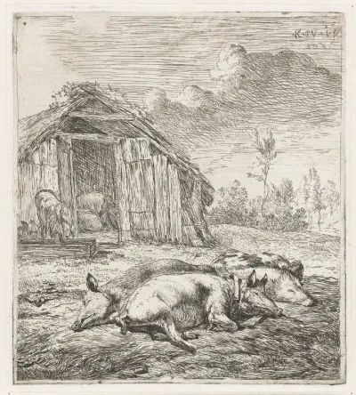 Drie varkens voor een hok