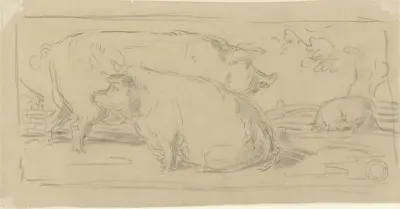 Drie varkens