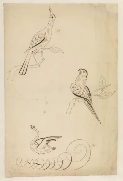 Drie vogels in kalligrafie