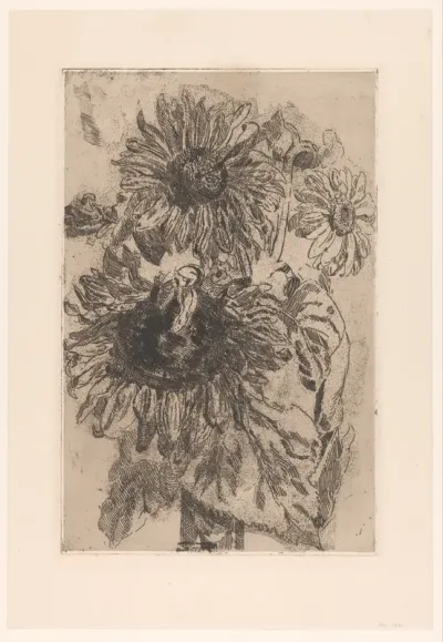 Drie zonnebloemen