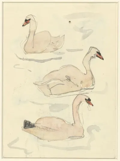 Drie zwanen in water