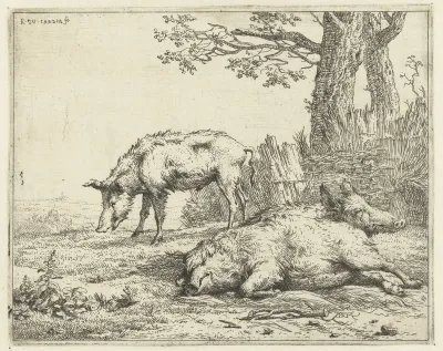 Drie zwijnen bij een heg