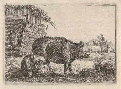 Drie zwijnen bij een stal